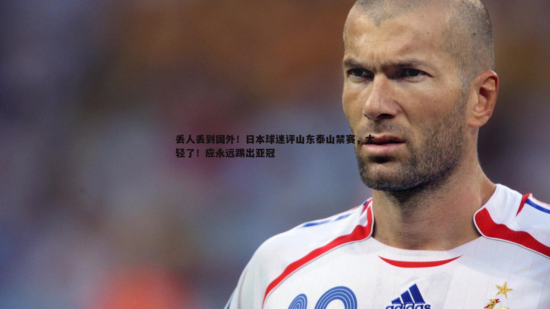 丢人丢到国外!日本球迷评山东泰山禁赛,太轻了!应永远踢出亚冠